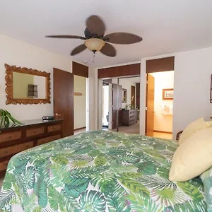 https://hale-mokulani-condo.hotelsinhawaii.org